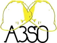 logo-a3so